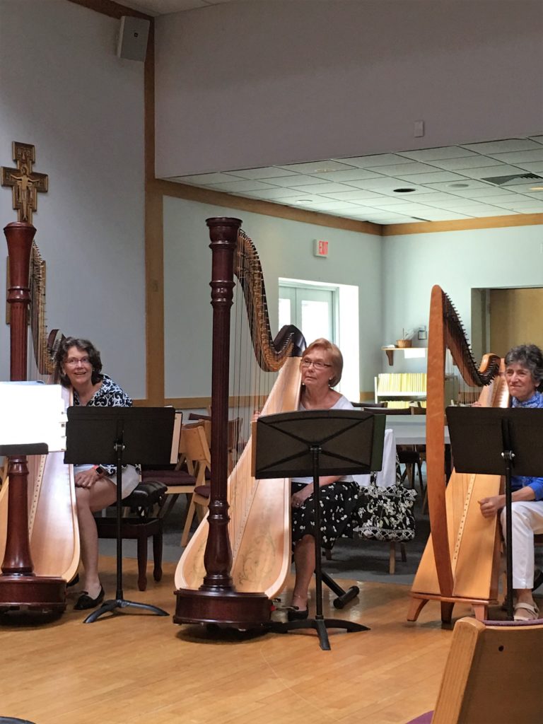 Adult Harp Program Elyrica